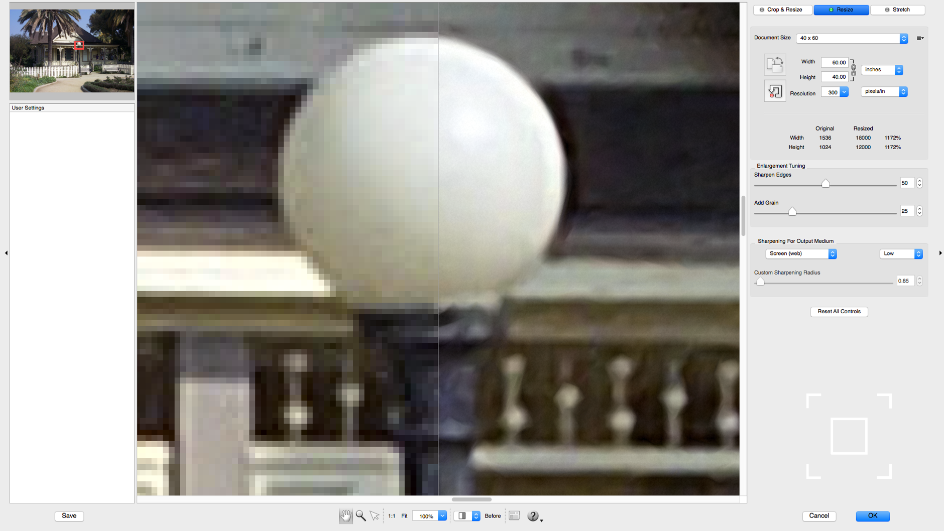 Screenshot of the Alien Skin Photo Bundle showing the results of image reinterpolation and smoothing