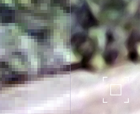 Before and after results of image reinterpolation and smoothing using the Alien Skin Photo Bundle 2